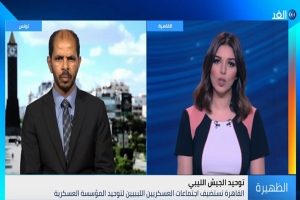 باحث: اجتماعات القاهرة رسالة للمشككين في مصداقية جهودها لبسط الأمن في ليبيا (فيديو)