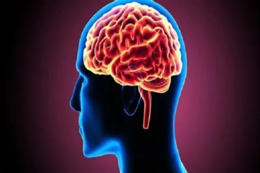 ارتفاع مقلق في حالات الجلطات الدماغية بتونس