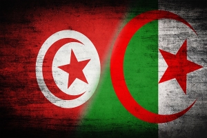 الوزير الأول الجزائري لبودن:  ملتزمون بدعم تونس حتى تتوفق في استعادة استقرارها الاقتصادي