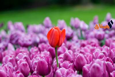 طقس اليوم الجمعة 23 مارس 2018