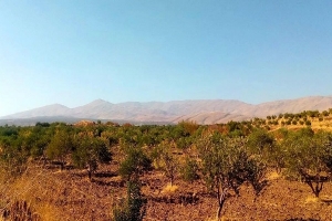 الجيش الصـ.ـهيوني يواصل تجريف أراض في ريف القنيطرة جنوبي سوريا ويُنذر الأهالي بالإخلاء