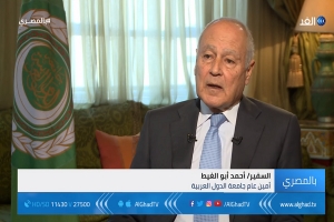 أبو الغيط: الأمة العربية تمر بأسوء وضع لها في القرن العشرين  و القضية الفلسطينية دافعت عن القيمة العربية في الإقليم(فيديو)