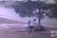 فيديو: يقطع شجرة لسرقة دراجة! ! !