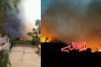 استعمال طائرات أجنبيّة للسيطرة على الحرائق في جندوبة:الوالي ينفي