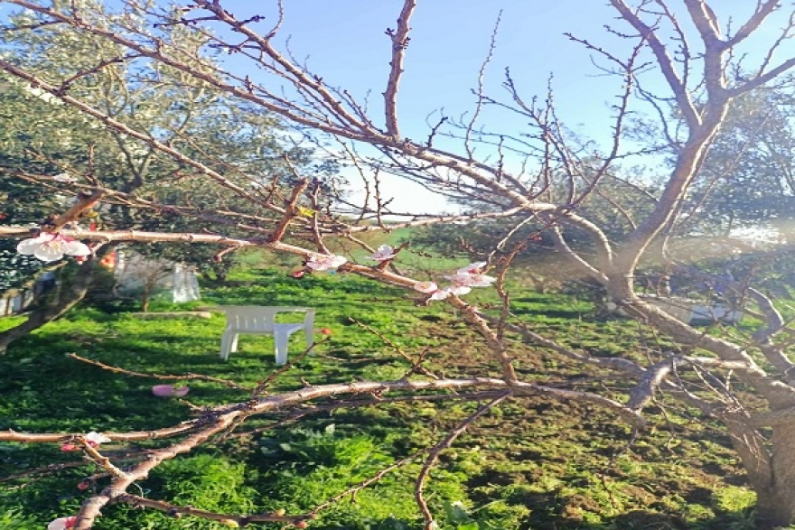 طقس اليوم الجمعة 23 فيفري 2024