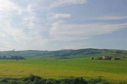 طقس اليوم الثلاثاء 25 فيفري 2025