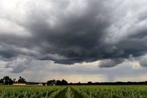 طقس اليوم الاثنين 24 نوفمبر 2025