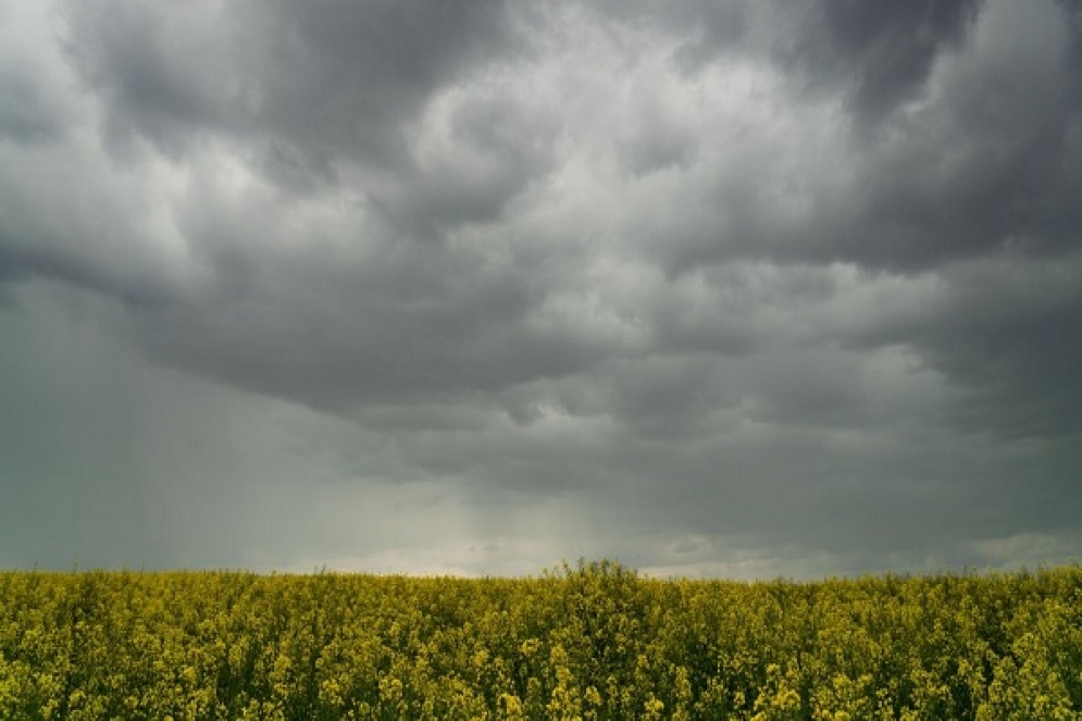 طقس اليوم الثلاثاء 3 فيفري 2026