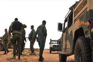 الحدود التونسية الليبية:الجيش الوطني يحجز 256 سلاحا ناريا