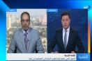 محلل سياسي يكشف الهدف من تهريب الأسلحة التركية إلى ليبيا (فيديو)