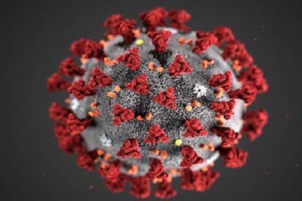 الصحة العالمية تعلن عن عودة انتشار فيروس كورونا في وسط وشرق أوروبا