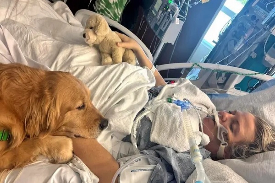 واقعة شبهها الأطباء بالمعجزة...كلب يوقظ امرأة من غيبوبة