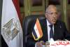 وزير الخارجية المصري:لن ننخرط في الصراع السوري