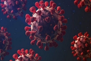 منظمة الصحة العالمية تؤكد استمرار  ظهور سلالات جديدة من فيروس كورونا