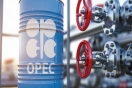 "أوبك" تثبت توقعاتها لنمو الطلب العالمي على النفط في 2025 و2026