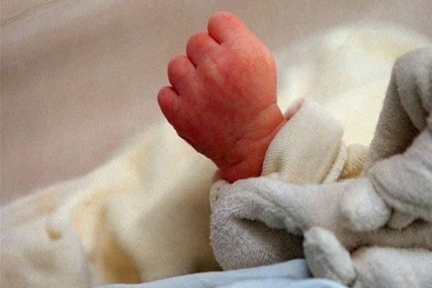 بئر بورقبة...العثور على جثة رضيع حديث الولادة في حاوية فضلات