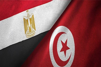 تسهيل إجراءات حصول المصريين على تأشيرات الدخول إلى تونس