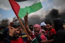الفلسطينيون شركاءٌ في الحرب والسلم