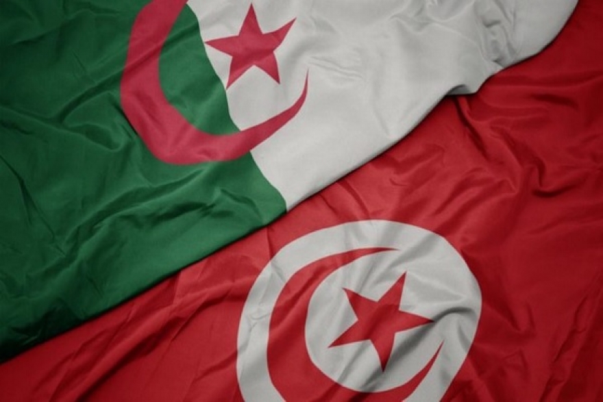 رئيس أركان جيش البر التونسي في زيارة إلى الجزائر
