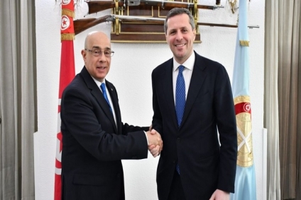 وزير الدفاع يلتقي وكيل وزارة الدفاع الإيطالية