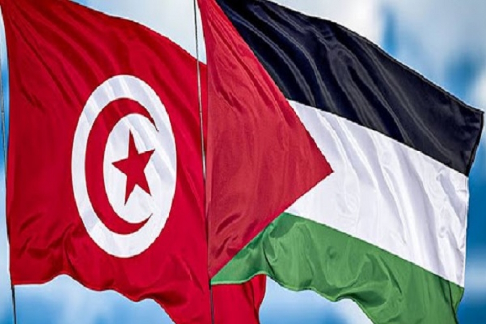 تونس تشدّد على الحقّ الشرعي لفلسطين في العضوية الكاملة في منظمة الأمم المتّحدة