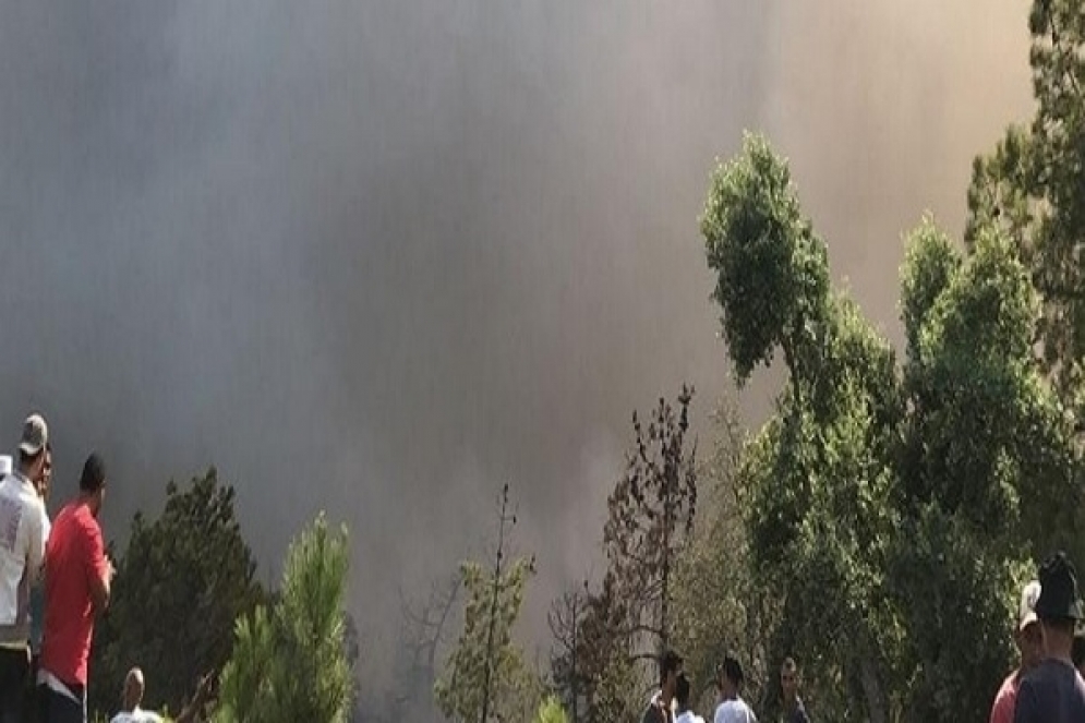 وزارة الفلاحة تؤكد السيطرة على كافة الحرائق التي نشبت منذ 24 جويلية 2023