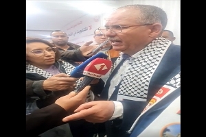 الطبوبي: &quot;العبرة ليست في إمضاء المراسيم.. إنّما في جدواها وفاعليتها&quot;