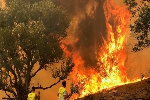 الجزائر: بطاقات إيداع بالسجن ضدّ عشرات المشتبه بتورّطهم في اشعال حرائق الغابات