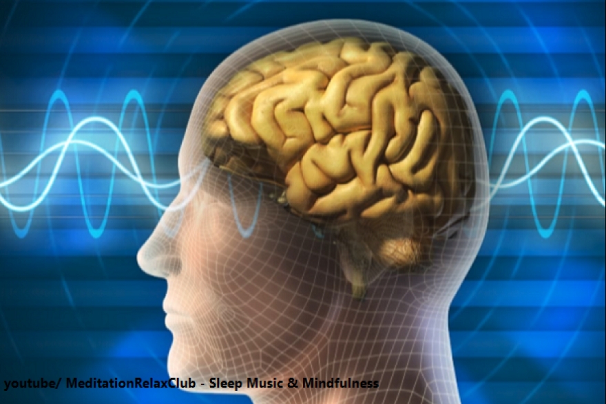 دراسة: التعلم يغير بنية الدماغ 