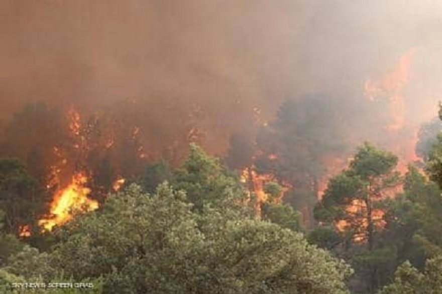 بنزرت: إيقاف شخص يشتبه في قيامه بإضرام النيران بالغابات