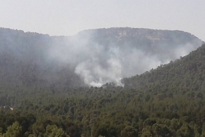 القصرين: اندلاع حريق داخل المنطقة العسكرية المغلقة بالشعانبي