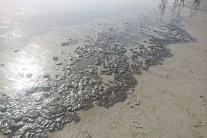 خبير بيئي: بحر قابس يمكن أن يستعيد عافيته في ظرف سنة من وقف سكب الفوسفوجيبس فيه