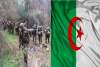 الجزائر:مقتل أربعة عسكريين فى هجوم ارهابى بقسنطينة