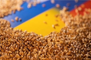 روسيا تجمد مشاركتها في &quot;صفقة الحبوب&quot; بعد هجوم أوكراني على سيفاستوبول