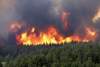 سليانة:النيران تلتهم 8 هكتارات من الصنوبر بغابات كسرى