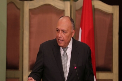 وزير الخارجية المصري بخصوص التواجد التركي بسوريا: لا&nbsp;ينبغي التسامح مع ظاهرة نقل الارهابيين الاجانب