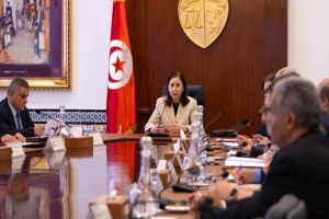 إجراءات حكومية لضمان نجاح موسم الحصاد وتأمين مخزون الحبوب