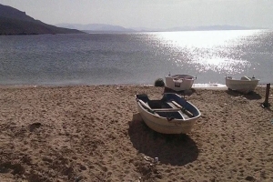 باجة.. تواصل عمليات البحث عن شاب مفقود في مياه كاب نيقرو