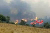 بتكليف من رئيس الحكومة:وزيرا الدفاع و الداخلية يزوران المناطق المتضررة من الحرائق