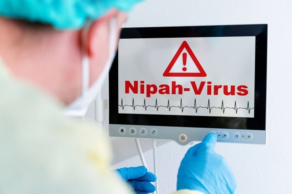 منظمة الصحة تُقلّل من احتمال انتشار فيروس 'نيباه' خارج الهند
