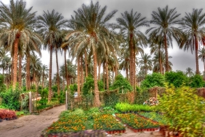 طقس اليوم الثلاثاء 28 أفريل 2026