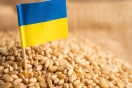 الأمم المتحدة: حوالي نصف الحبوب الأوكرانية تؤول إلى &quot;الدول المتقدمة&quot;