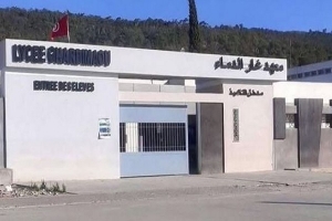 أُستاذ تعليم ثانوي بغار الدماء: هناك أطراف حرّضت وليّة تلميذة على إضرام النّار في جسدها