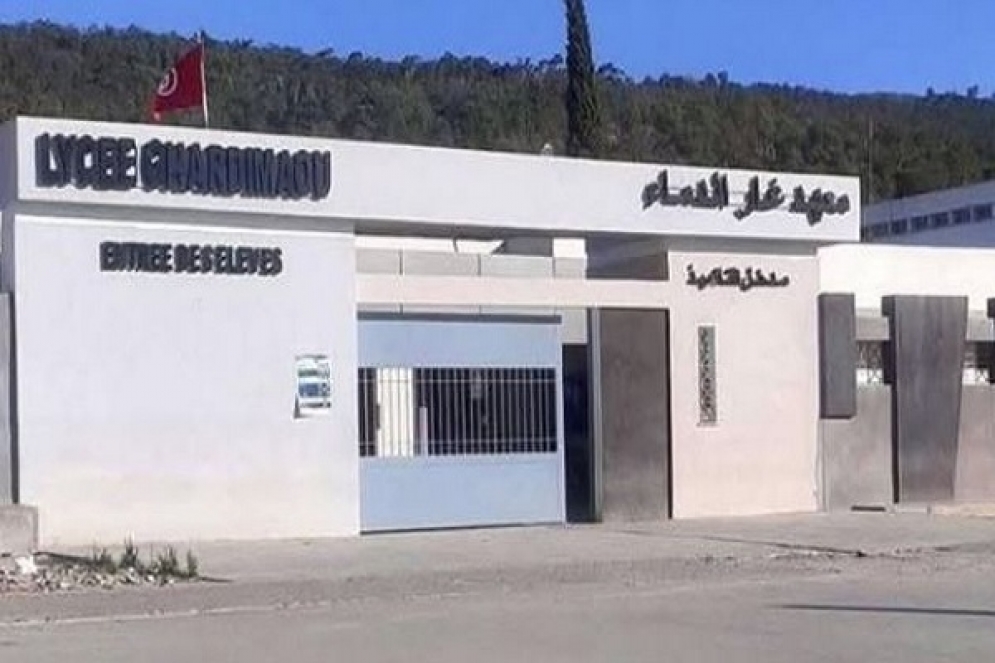 أُستاذ تعليم ثانوي بغار الدماء: هناك أطراف حرّضت وليّة تلميذة على إضرام النّار في جسدها
