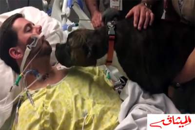 فيديو:لحظات مؤثرة لكلبة تودّع صاحبها وهو على فراش الموت