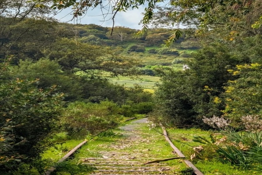 &nbsp;طقس اليوم الخميس 24 أفريل 2025