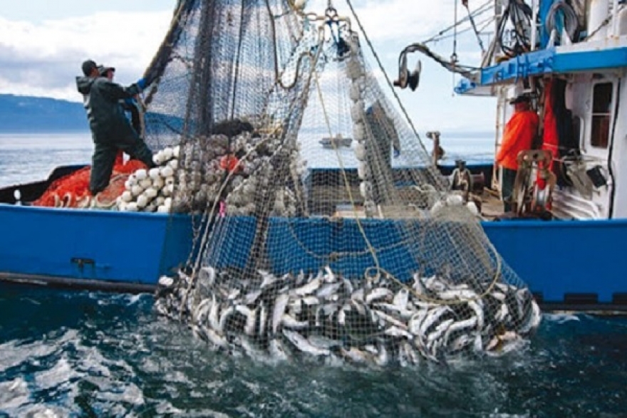 ميزان التجارة الخارجية لمنتوجات الصيد البحري يسجل زيادة بـ 178,5%