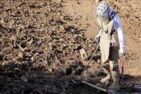 روسيا ترسل خبراء ألغام إلى تدمر السورية