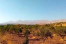 الجيش الصـ.ـهيوني يواصل تجريف أراض في ريف القنيطرة جنوبي سوريا ويُنذر الأهالي بالإخلاء