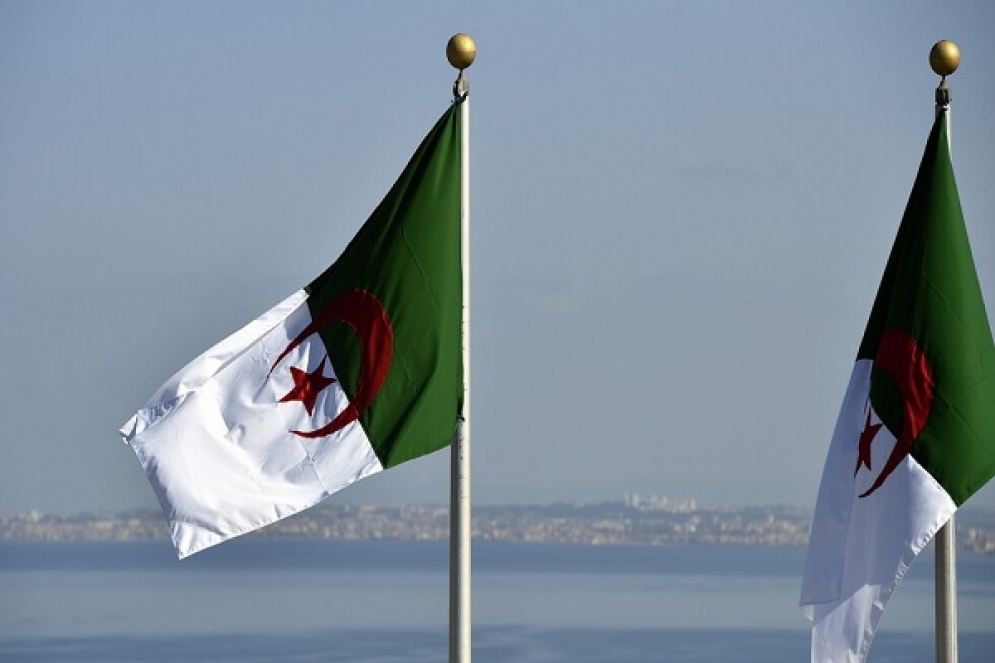 الجزائر: إحداث عن صندوق مخصص للرعايا الجزائريين في الخارج